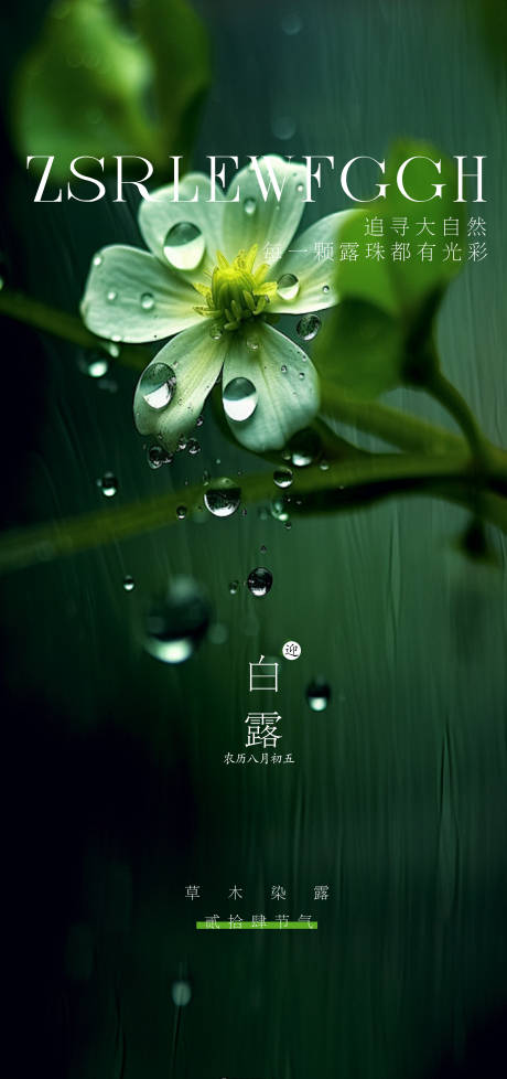源文件下载【白露节气海报】编号：88150025914844250