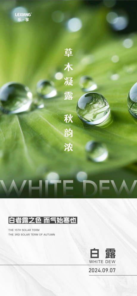 源文件下载【白露节气海报】编号：54970025936197974