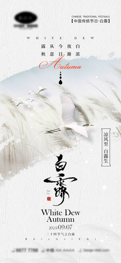 源文件下载【白露节气海报】编号：48010025627217996