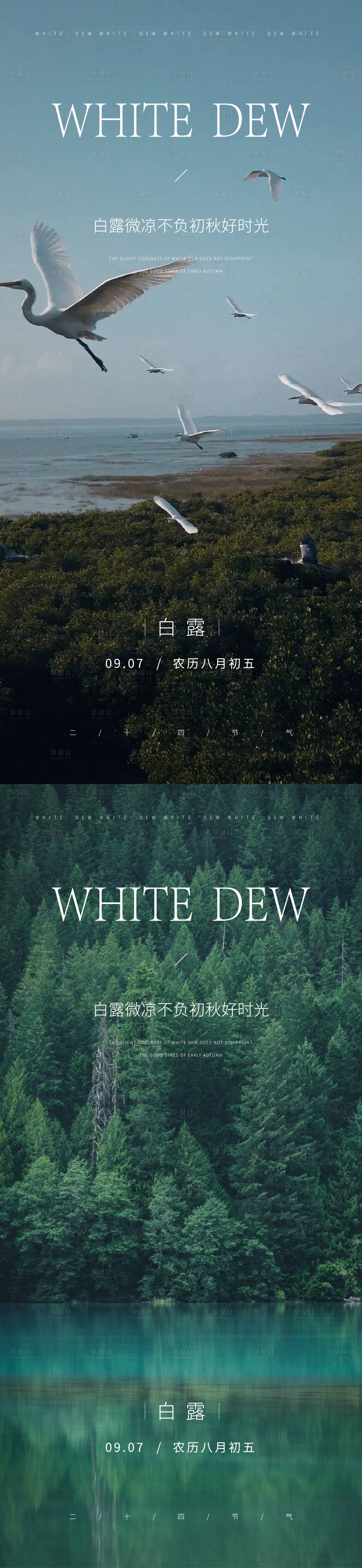 源文件下载【享设计】搜索编号：33550025953838840【白露节气海报】