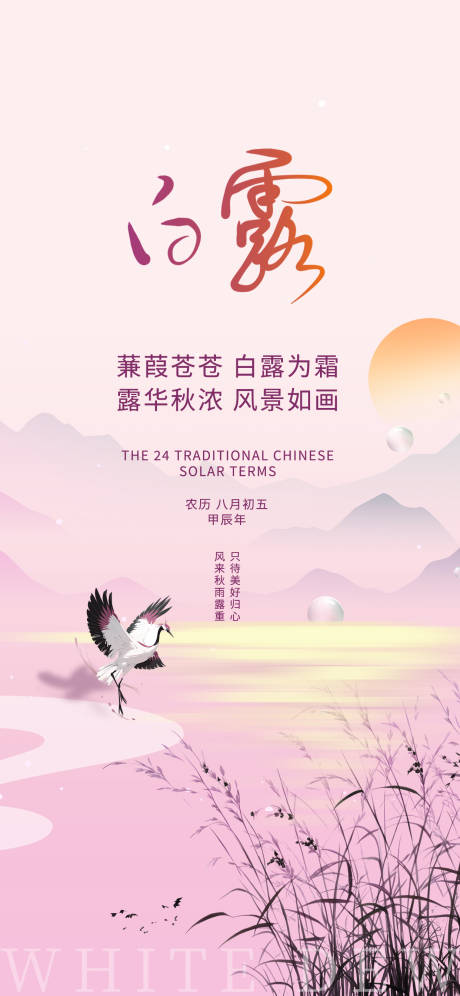 源文件下载【白露芦苇鹭夕阳蒹葭海报】编号：71720025940744456