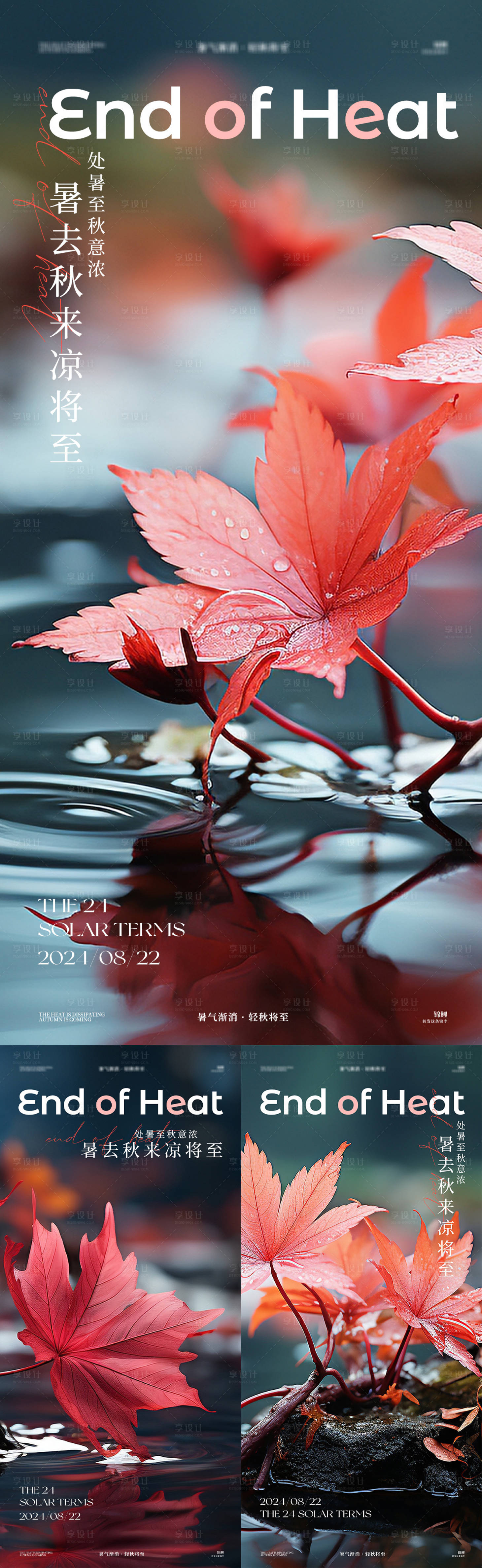 源文件下载【处暑节气系列枫叶海报 】编号：21790025817739734