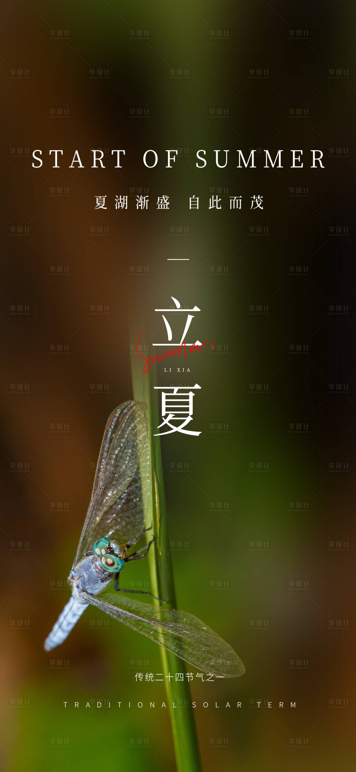 源文件下載【享設計】搜索編號：70050025618577731【立夏夏天夏至節氣簡約蜻蜓漸變海報】