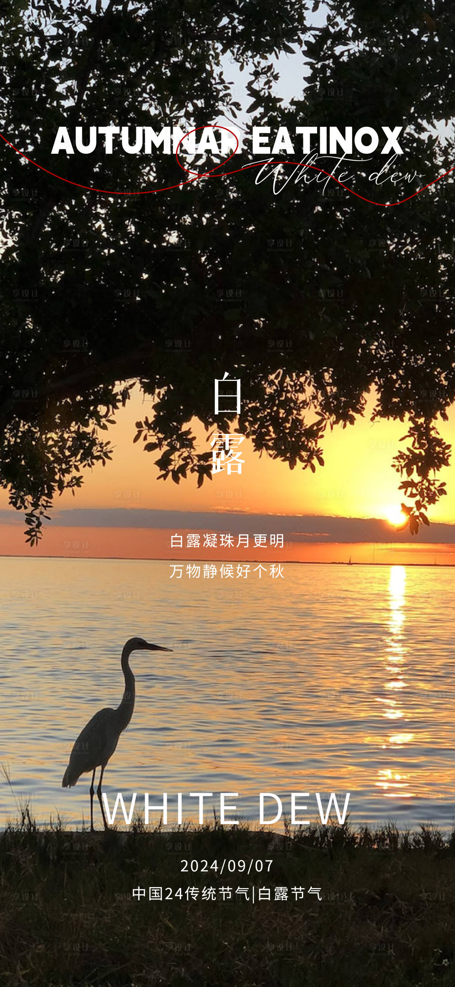 源文件下載【白露節氣海報】編號：81950025943426820