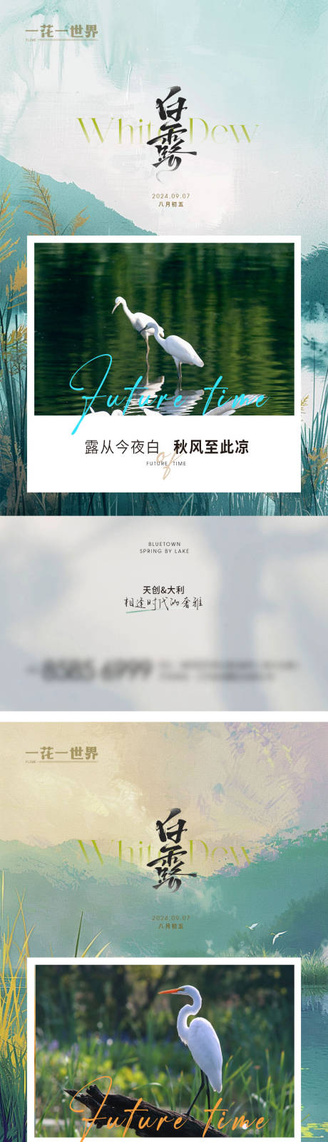 源文件下載【地產(chǎn)白露系列海報】編號：40900025995827770