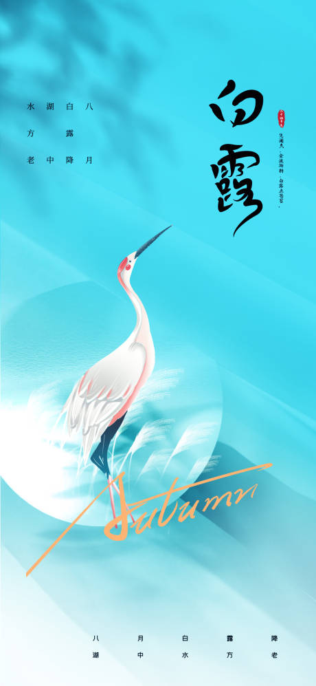 源文件下载【白露24节气海报】编号：56920025933693642
