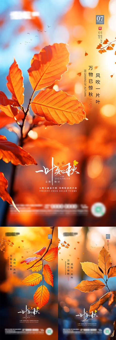立秋节气海报