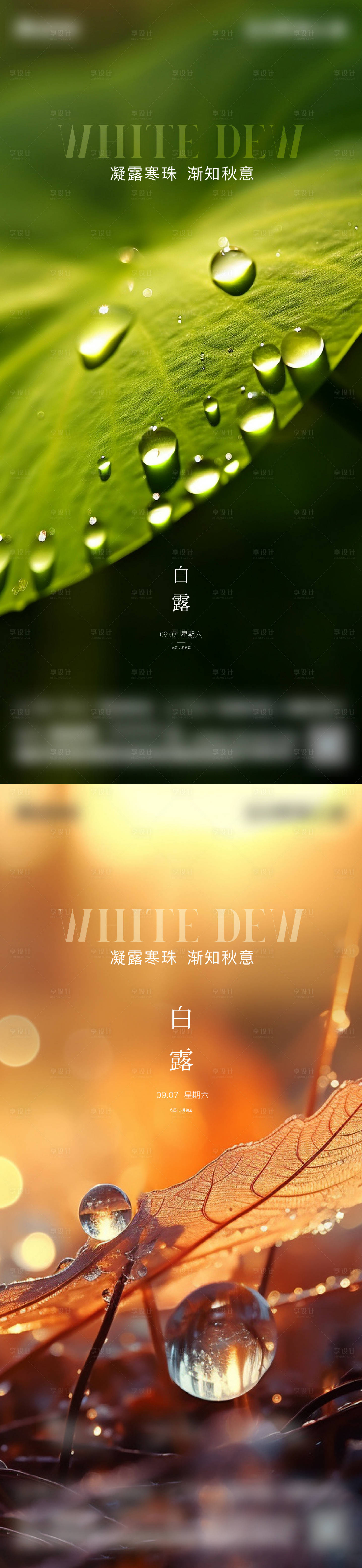 源文件下載【享設計】搜索編號：65550025914437601【白露節(jié)氣海報】