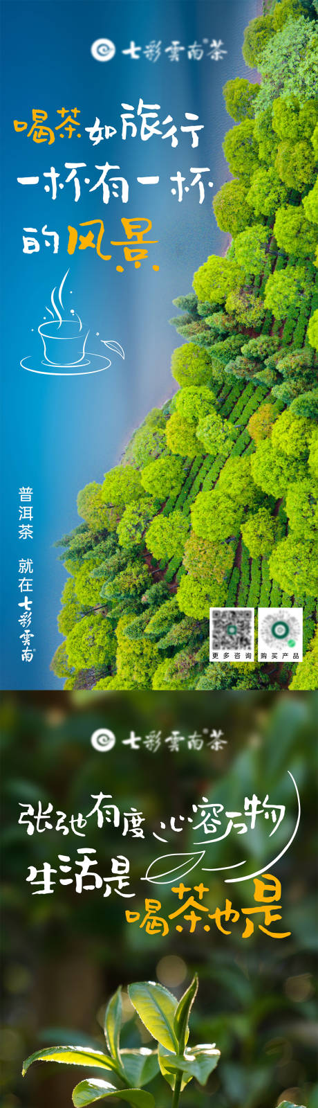 源文件下載【享設計】搜索編號：54490025784565492【茶山茶樹高級系列海報】
