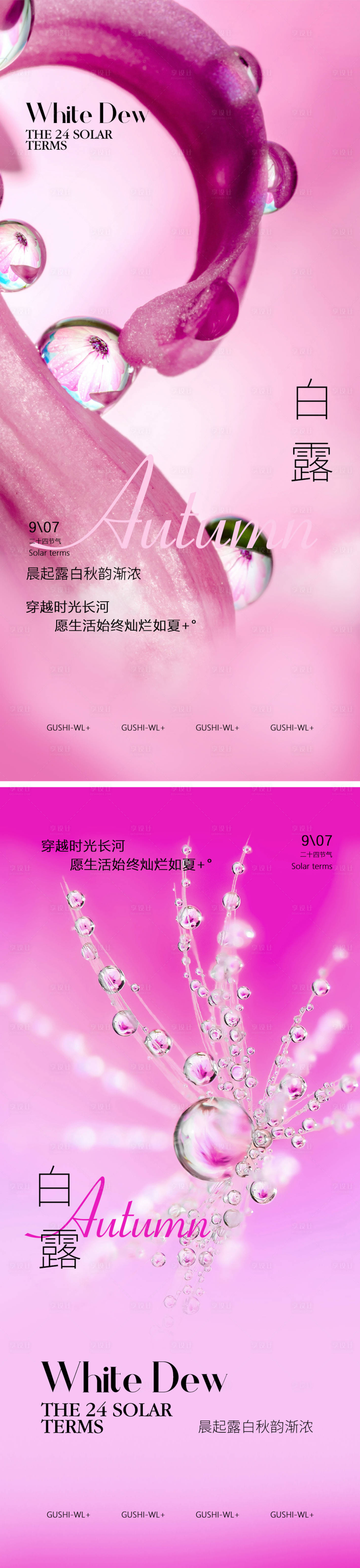 源文件下载【二十四节气白露海报】编号：63810025552692874