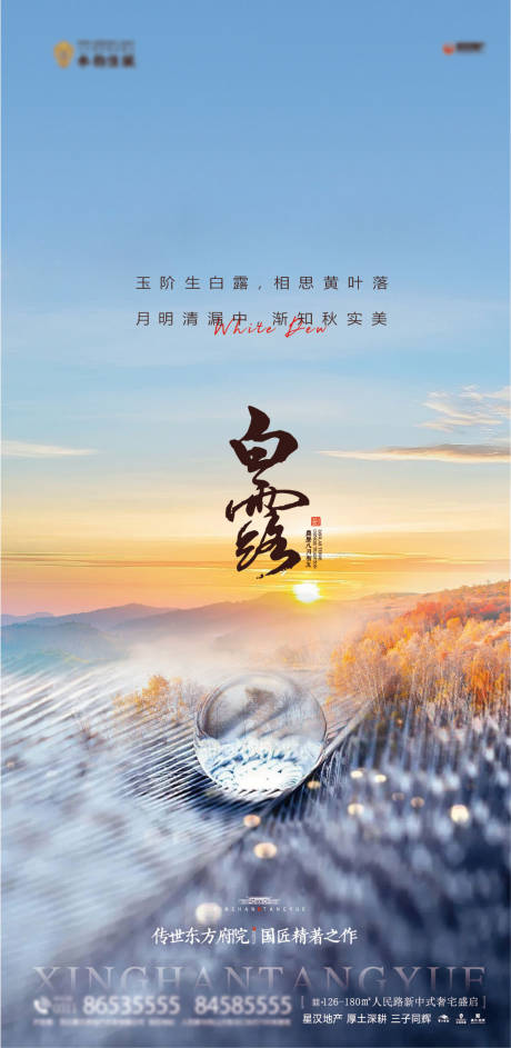 源文件下载【享设计】搜索编号：46110025634194740【地产白露海报】