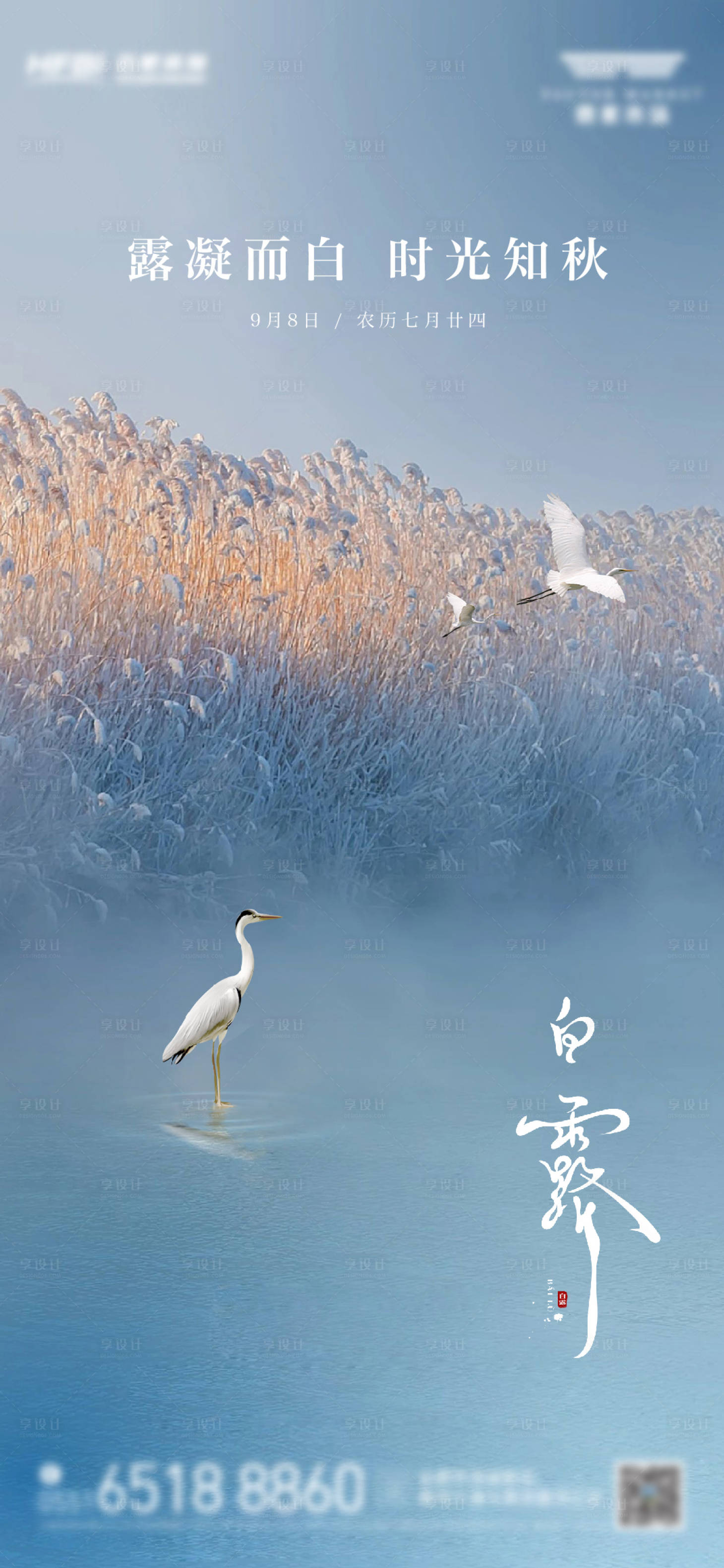 源文件下載【享設計】搜索編號：51860025929486633【白露節氣海報】
