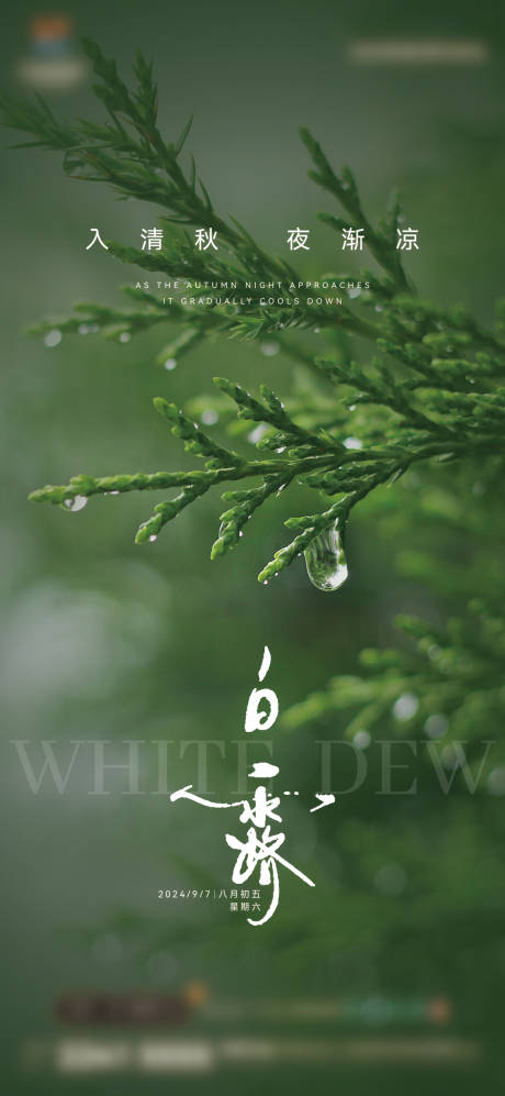 源文件下载【享设计】搜索编号：82730025827657368【白露节气移动端海报】