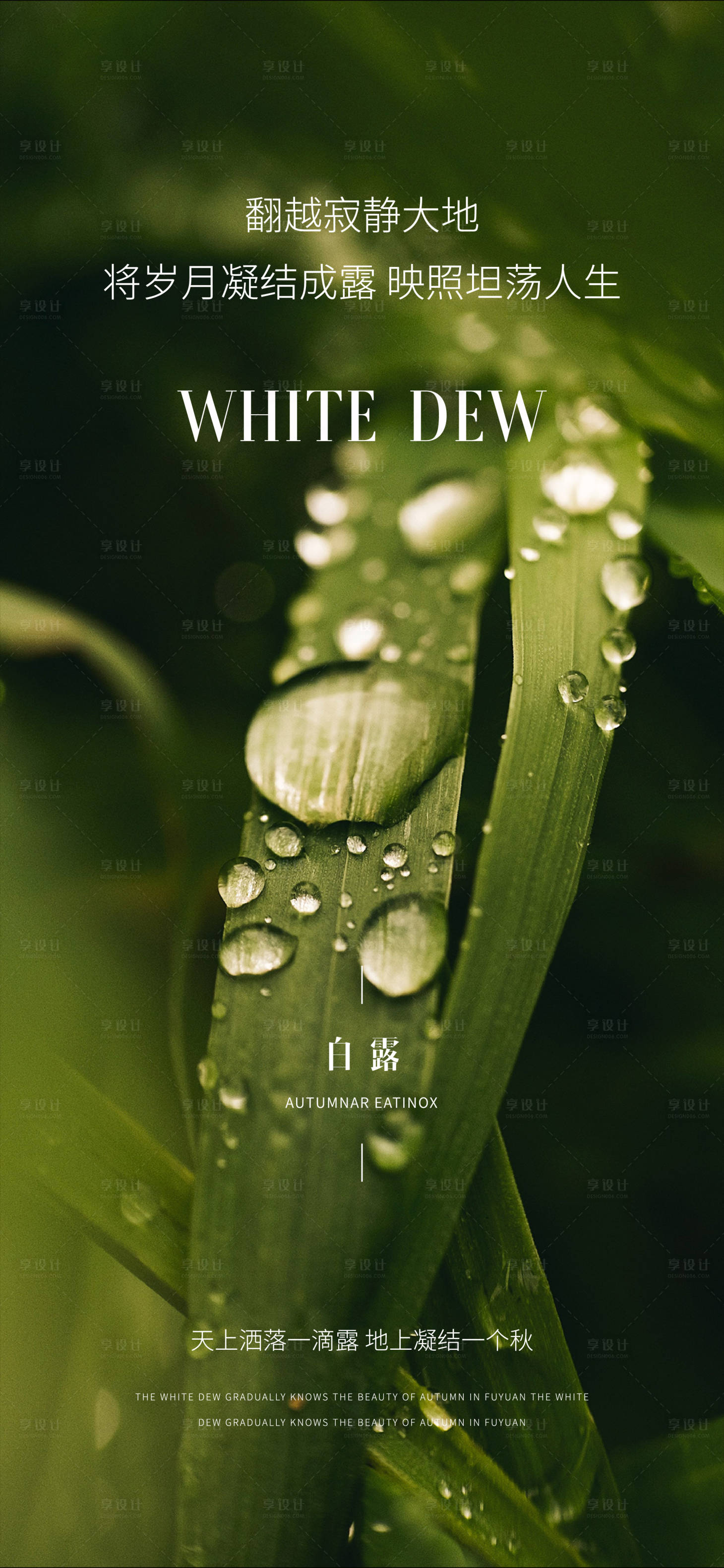 源文件下載【享設計】搜索編號：85090025943463255【白露節氣海報】