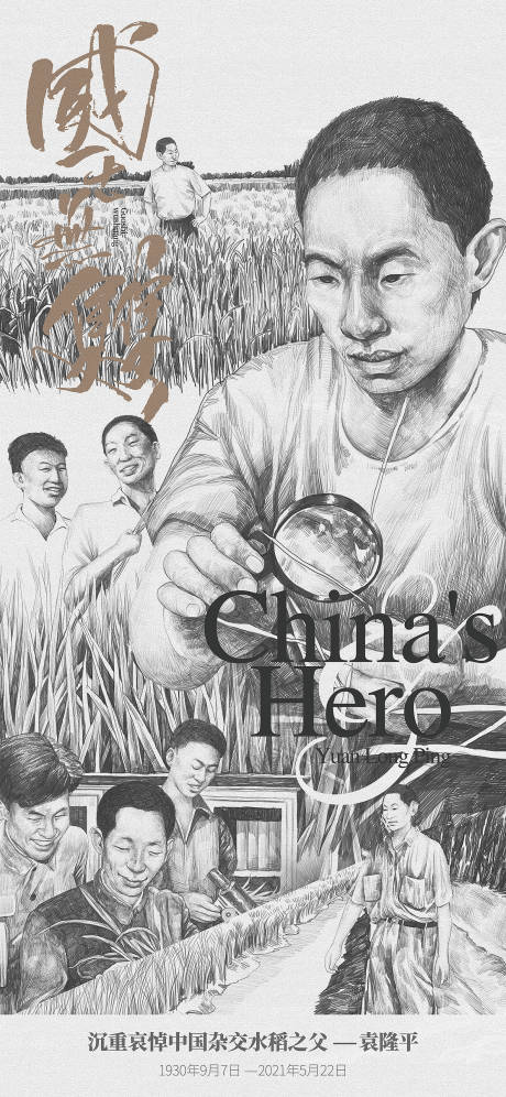 源文件下载【地产热点创意微信海报袁隆平缅怀水稻】编号：69690025302819393