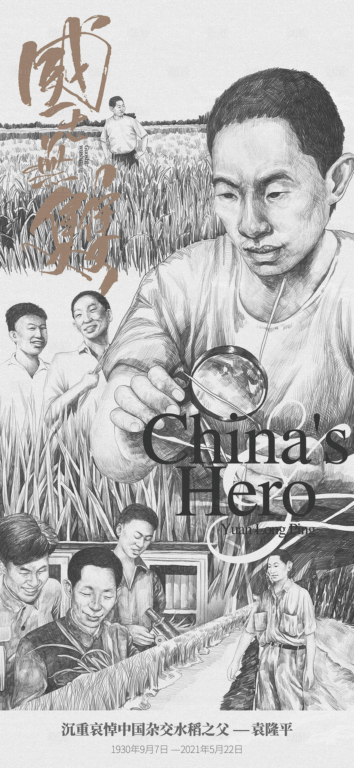 源文件下載【地產熱點創(chuàng)意微信海報袁隆平緬懷水稻】編號：69690025302819393