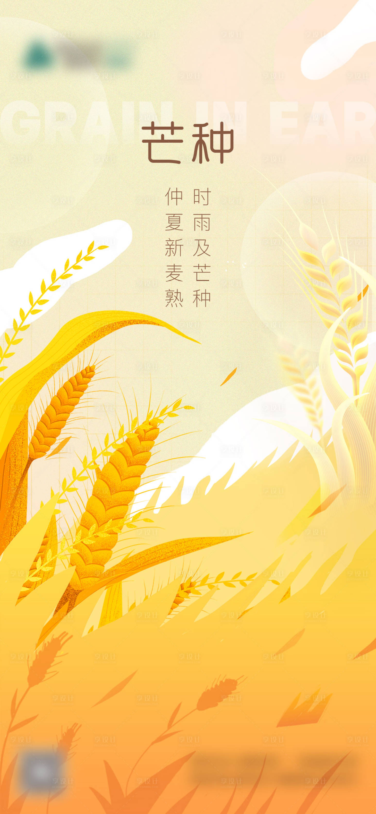 源文件下载【芒种节气海报】编号：19800025457667488