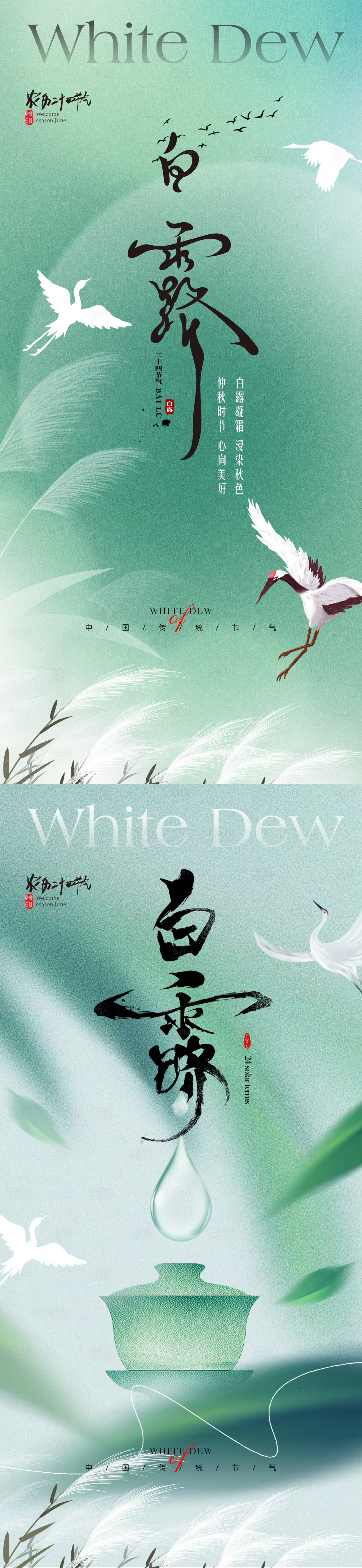 源文件下载【白露节气海报】编号：84010025488021144