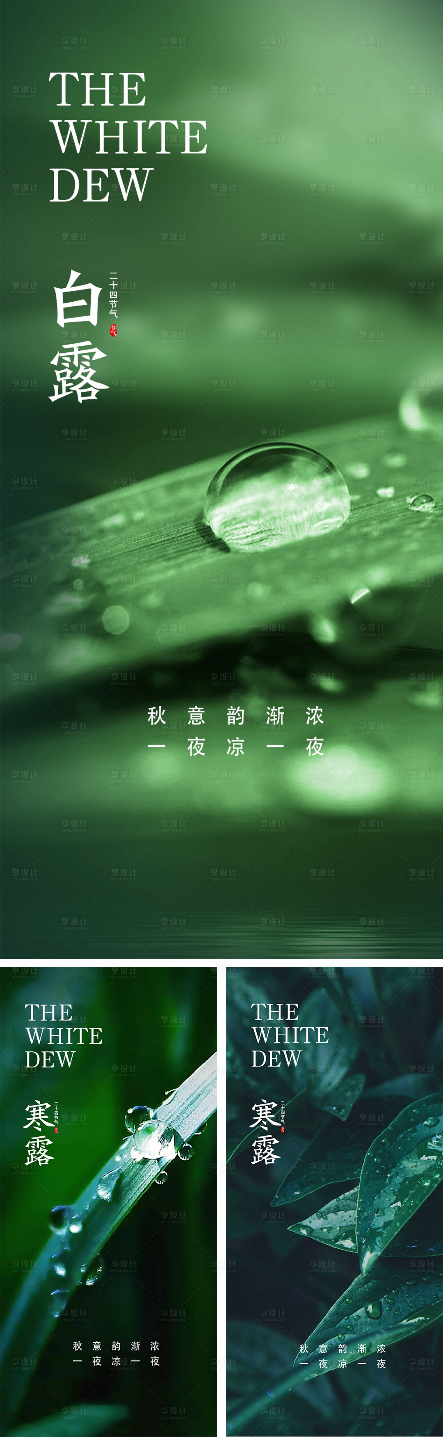 源文件下载【白露寒露节气海报】编号：96430025927831387