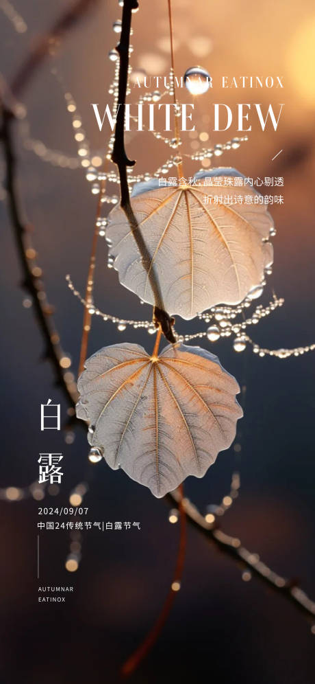 源文件下載【享設(shè)計(jì)】搜索編號(hào)：24060025950006818【白露節(jié)氣海報(bào)】