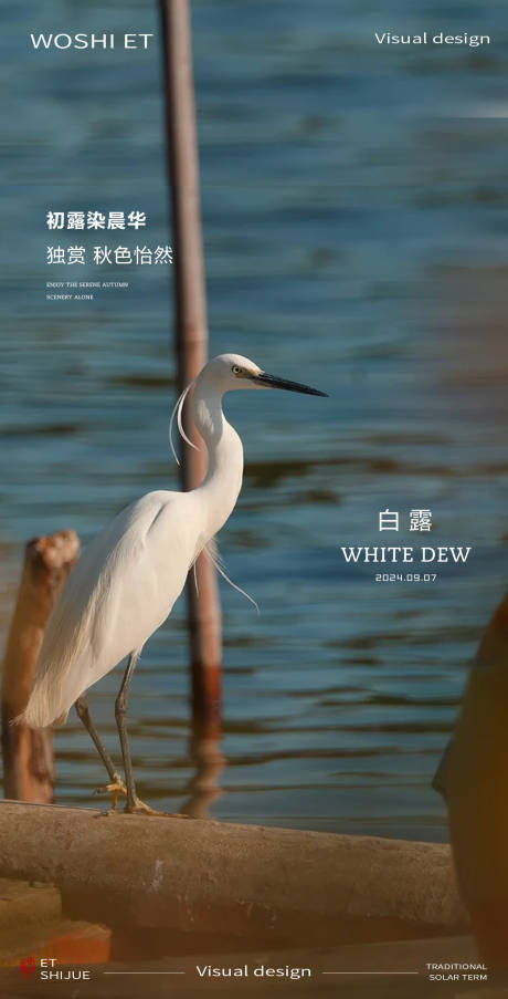 源文件下載【享設計】搜索編號：92160025824257622【白露節氣海報】