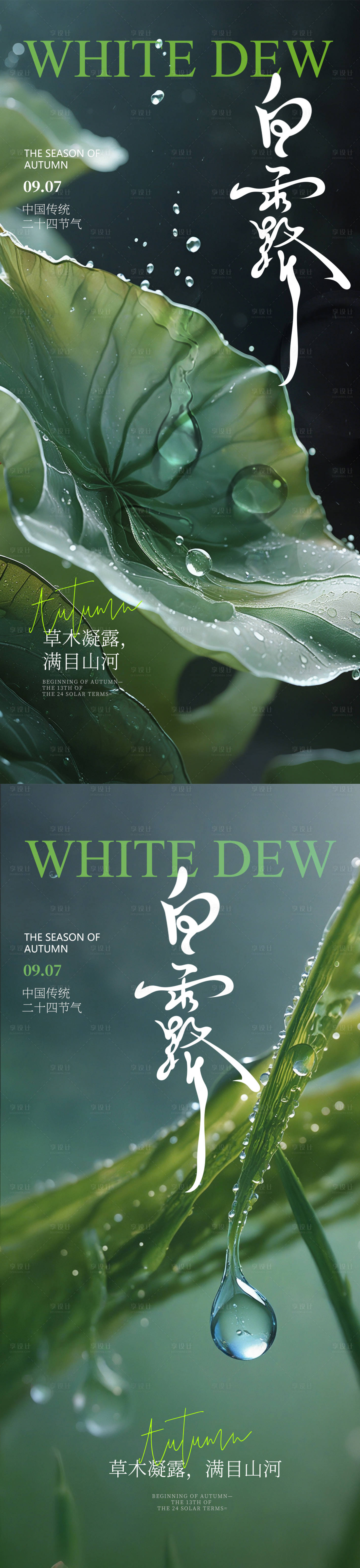源文件下载【极简高级白露节气海报】编号：27670025902908353
