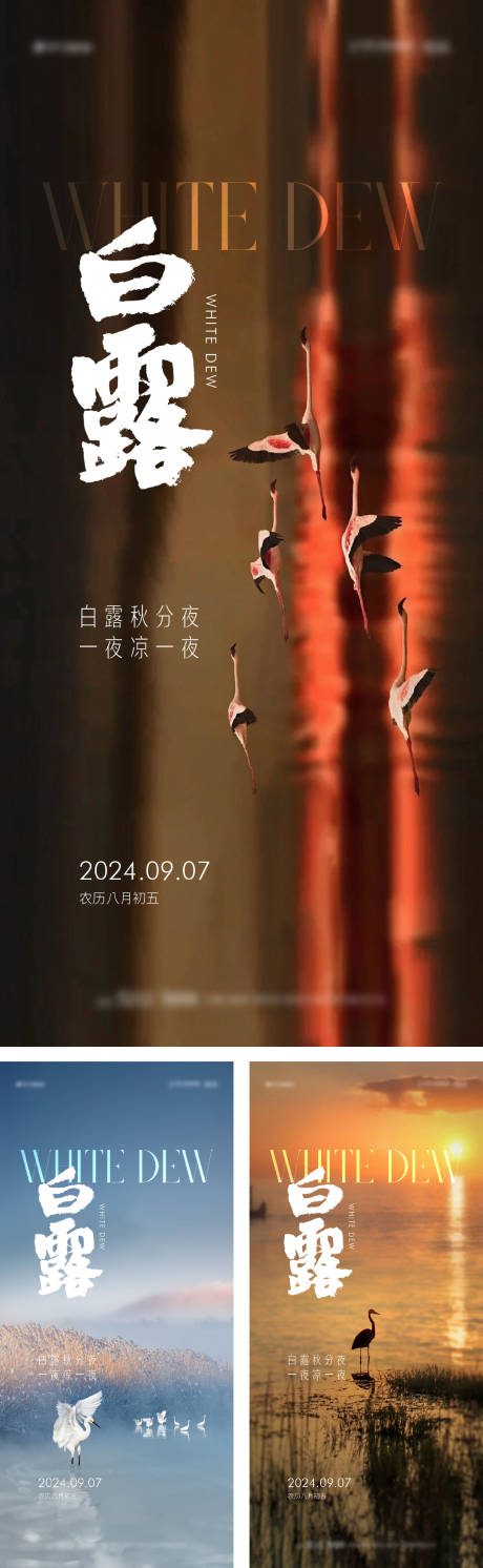 源文件下载【享设计】搜索编号：53900025981045989【白露节气系列海报】