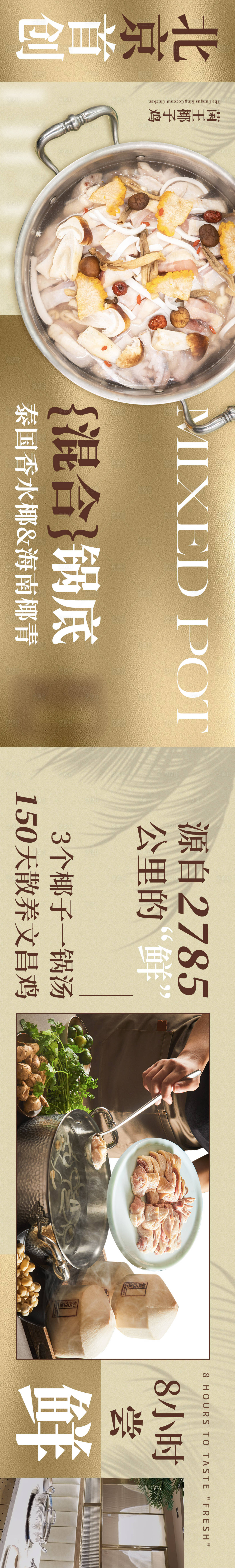 源文件下载【享设计】搜索编号：25020025473886814【餐饮火锅椰子鸡猪肚鸡北京菜】