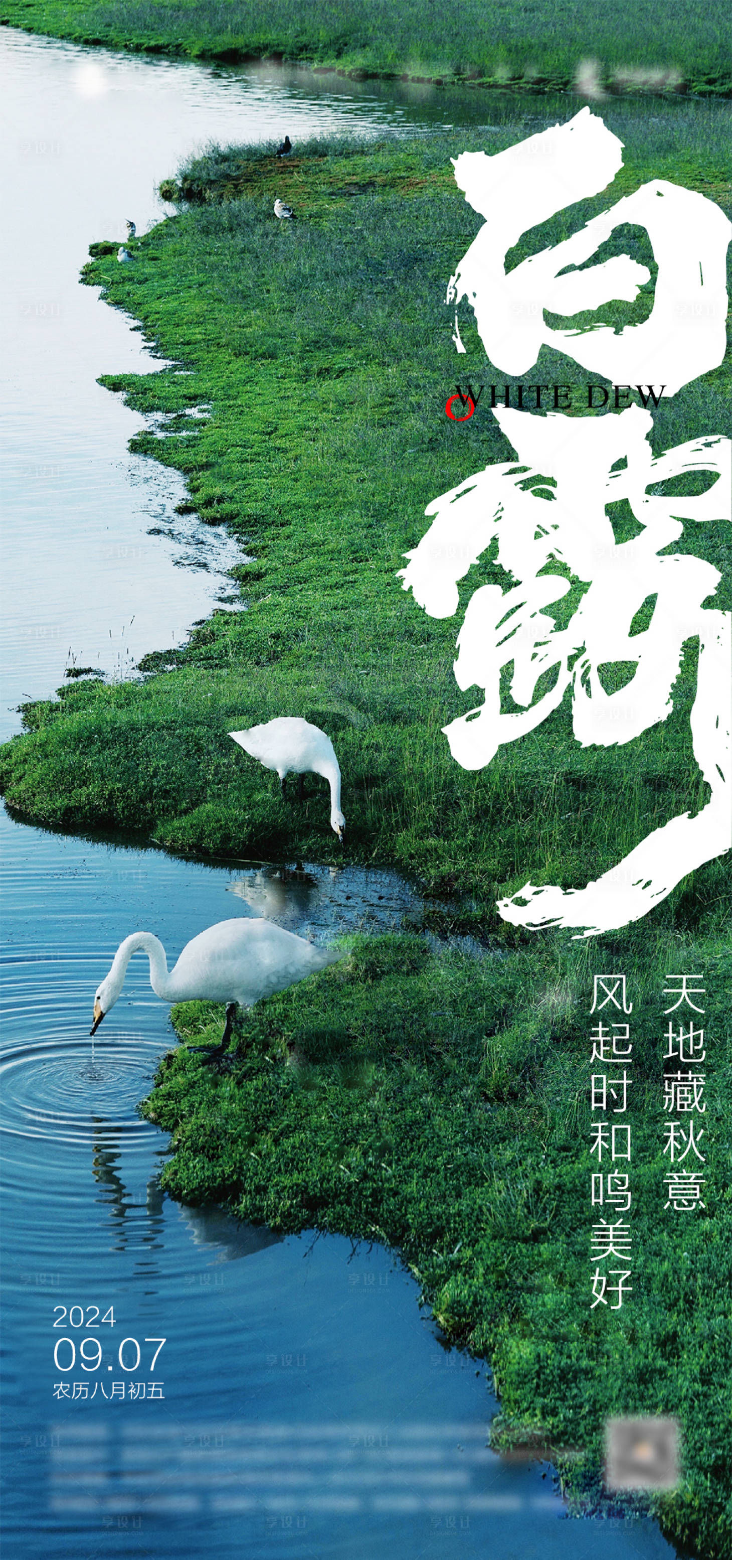 源文件下载【白露节气海报】编号：59190026001833413