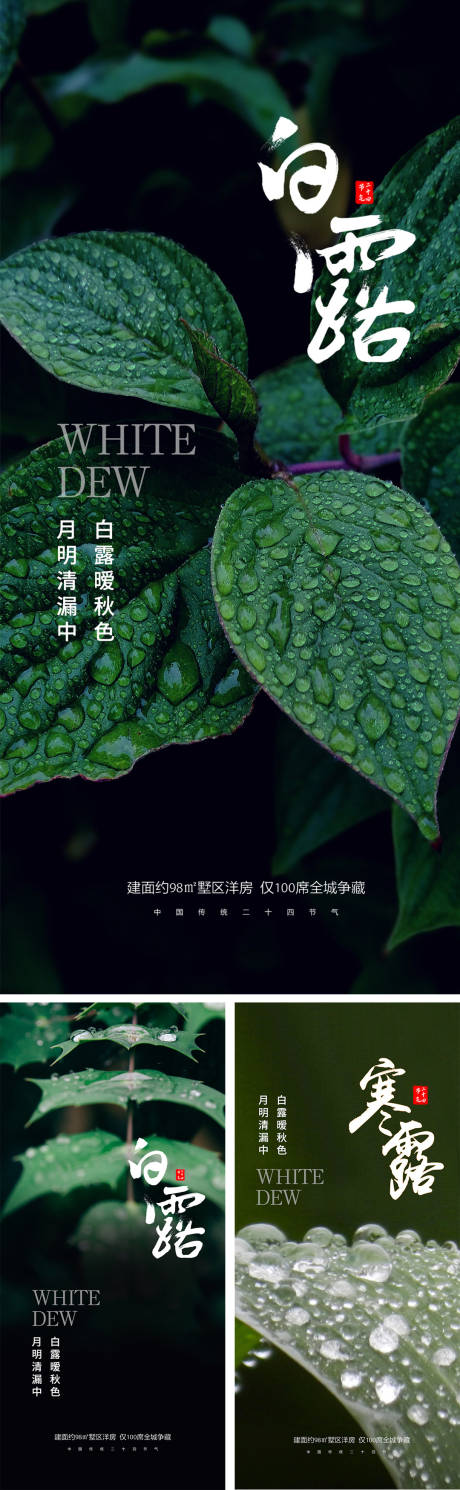 源文件下載【白露寒露節氣海報】編號：17780025851189830