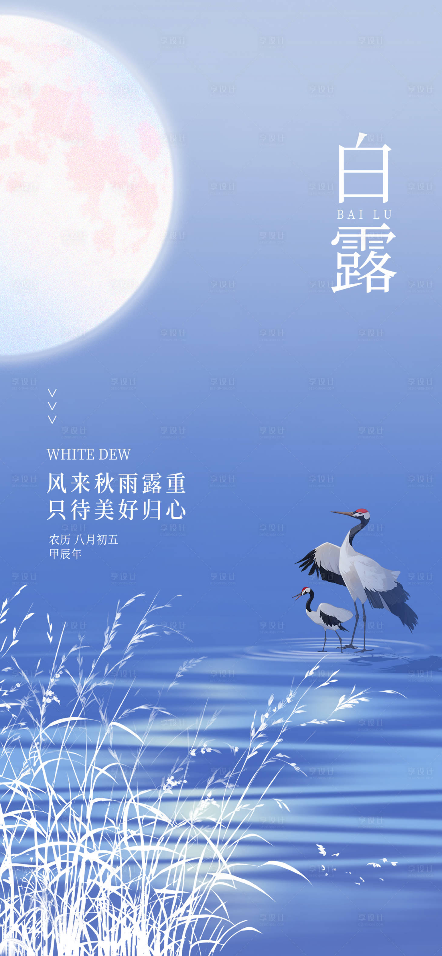 源文件下载【白露海报】编号：67080025965038604