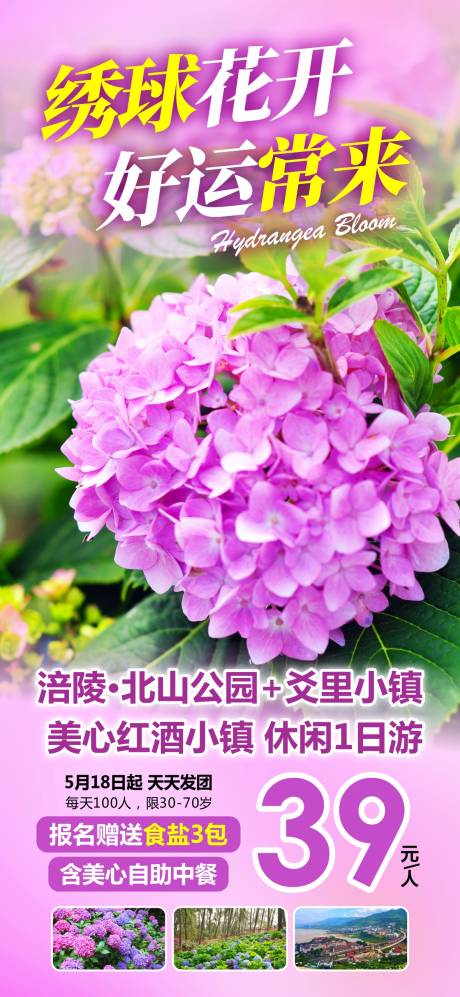 源文件下载【绣球花开旅游海报】编号：52230025484569591