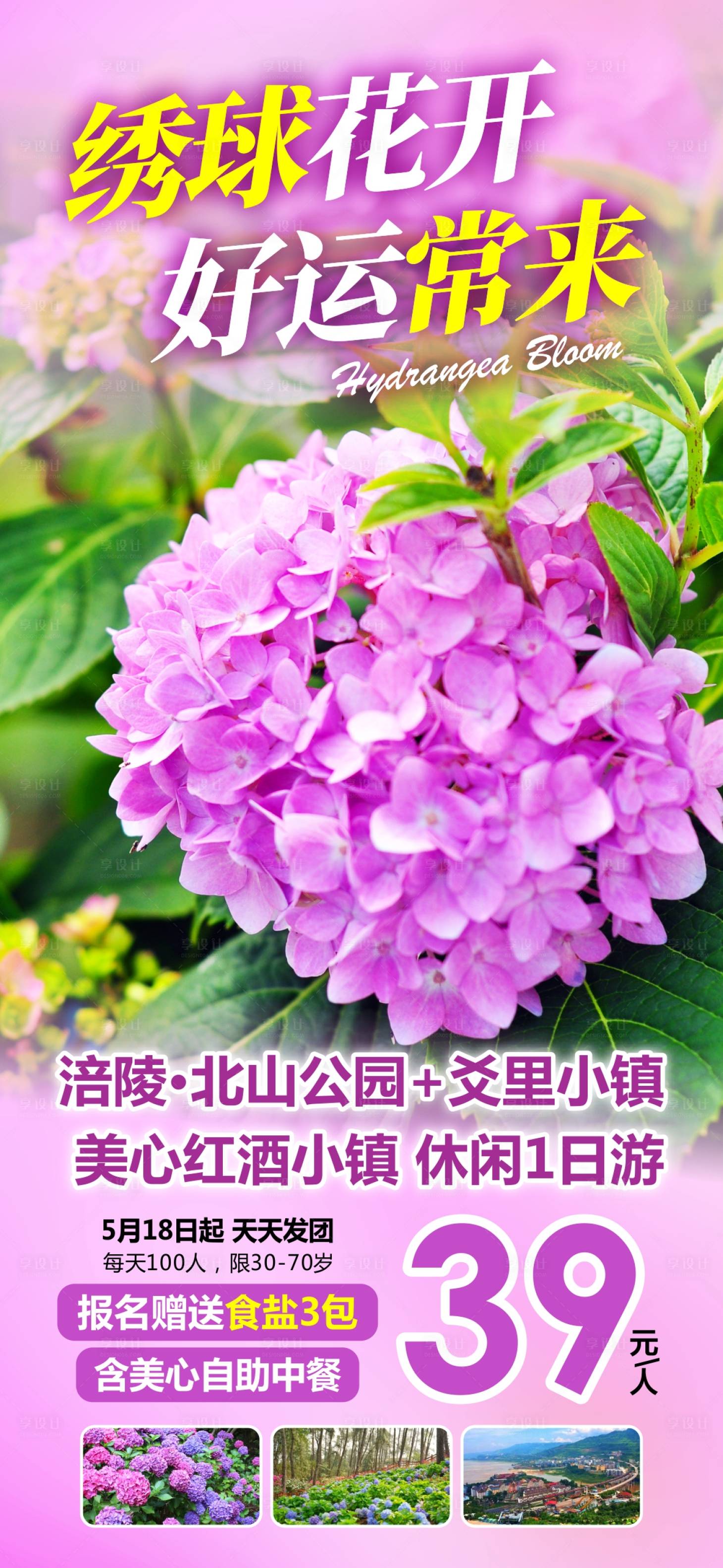 源文件下载【享设计】搜索编号：52230025484569591【绣球花开旅游海报】