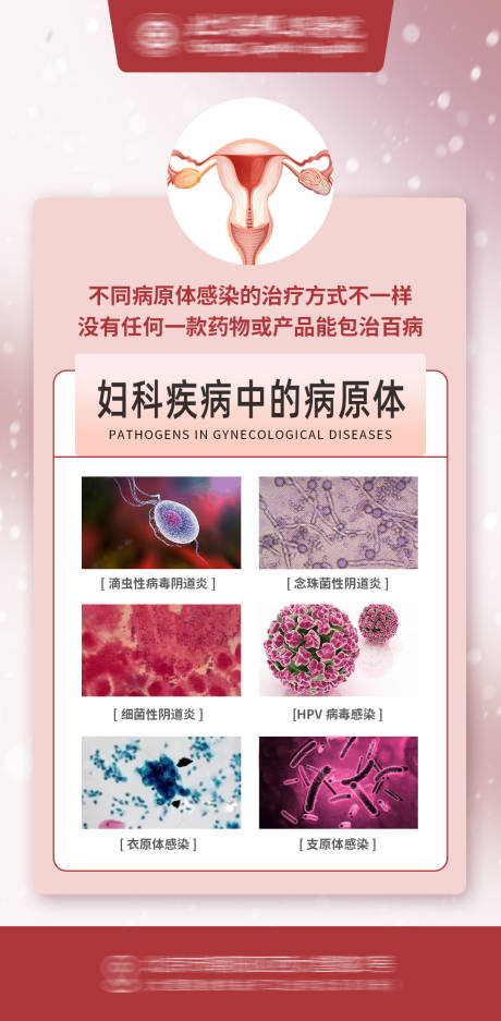 源文件下载【享设计】搜索编号：72300025712855654【妇科病原体海报 】