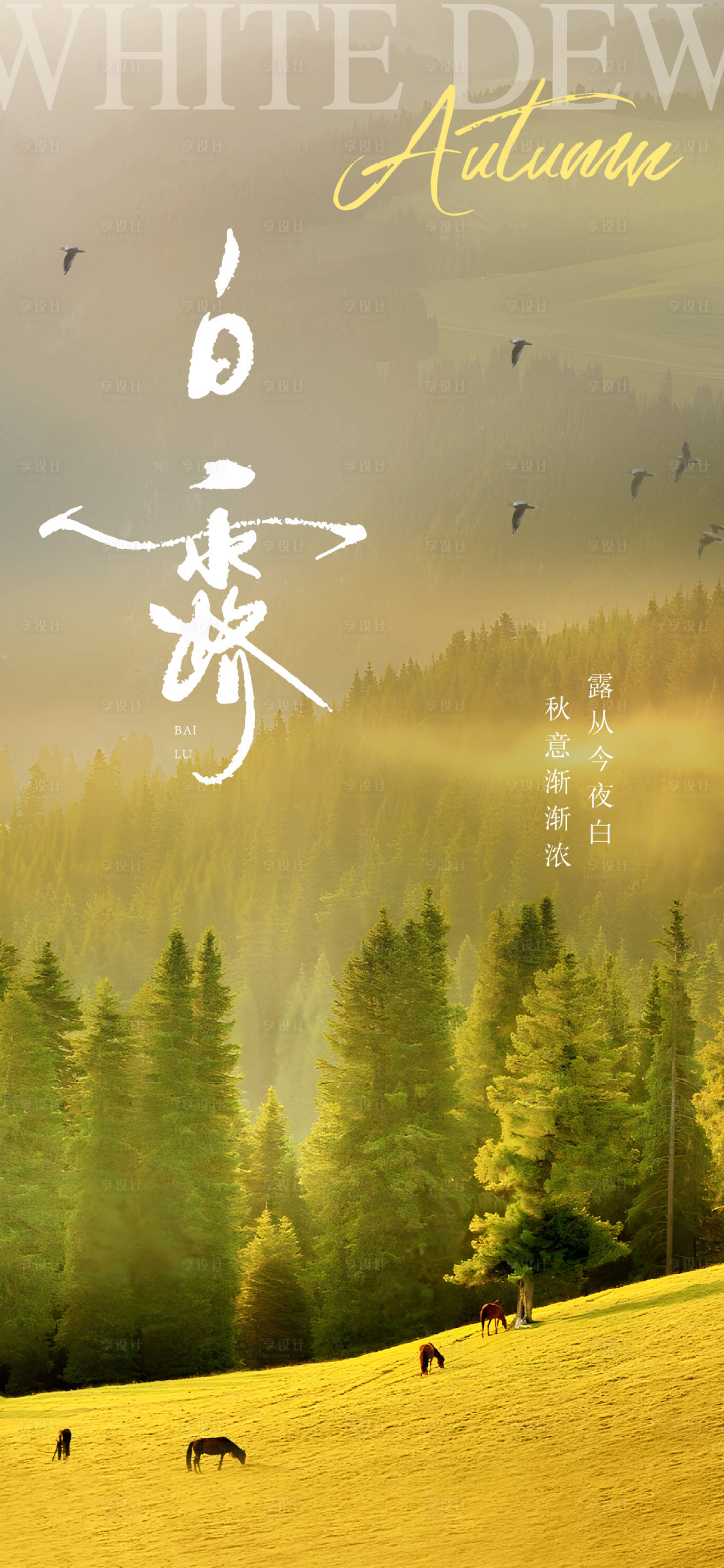 源文件下载【白露节气海报】编号：62720025936096583