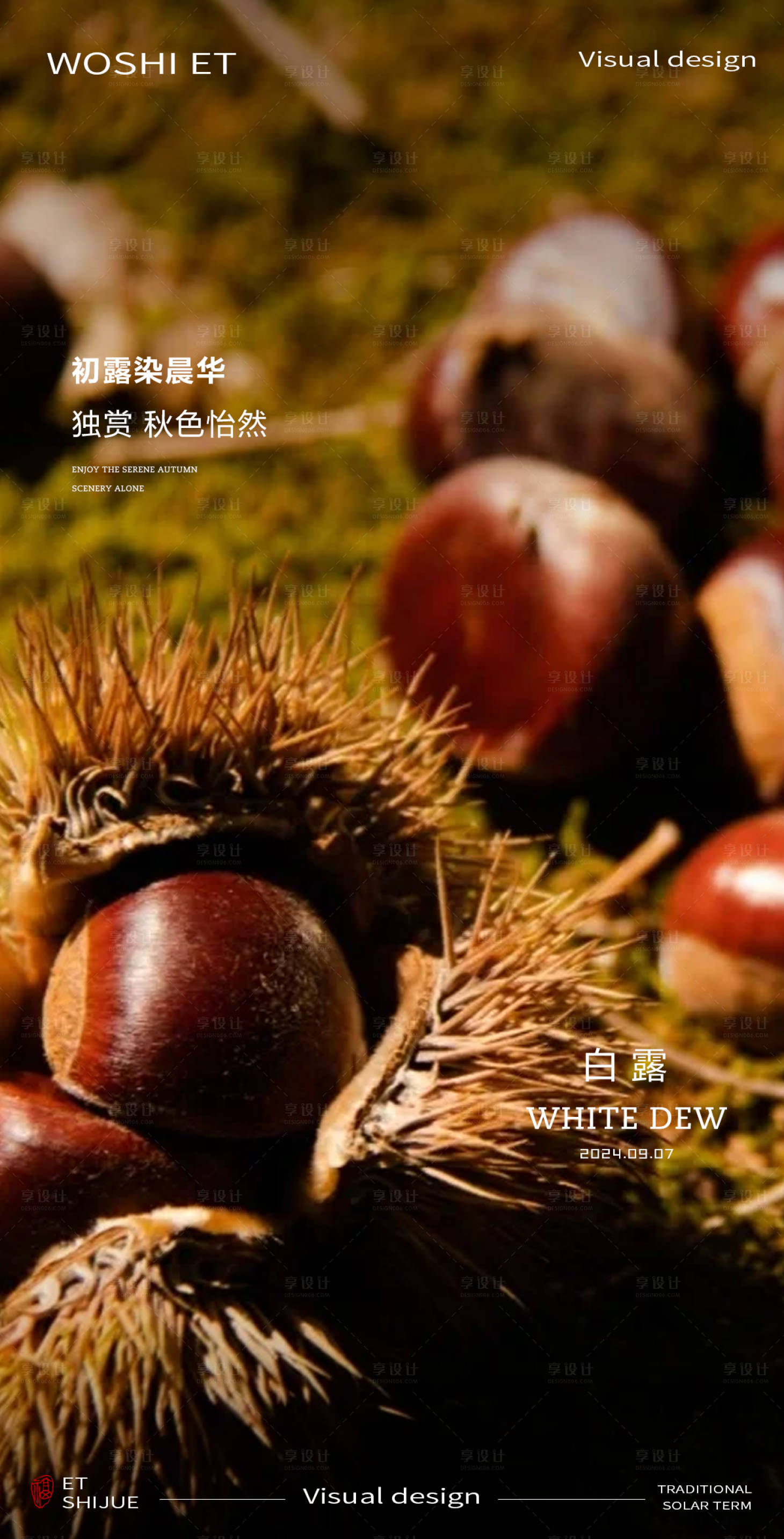 源文件下載【享設計】搜索編號：99480025858969679【白露海報】