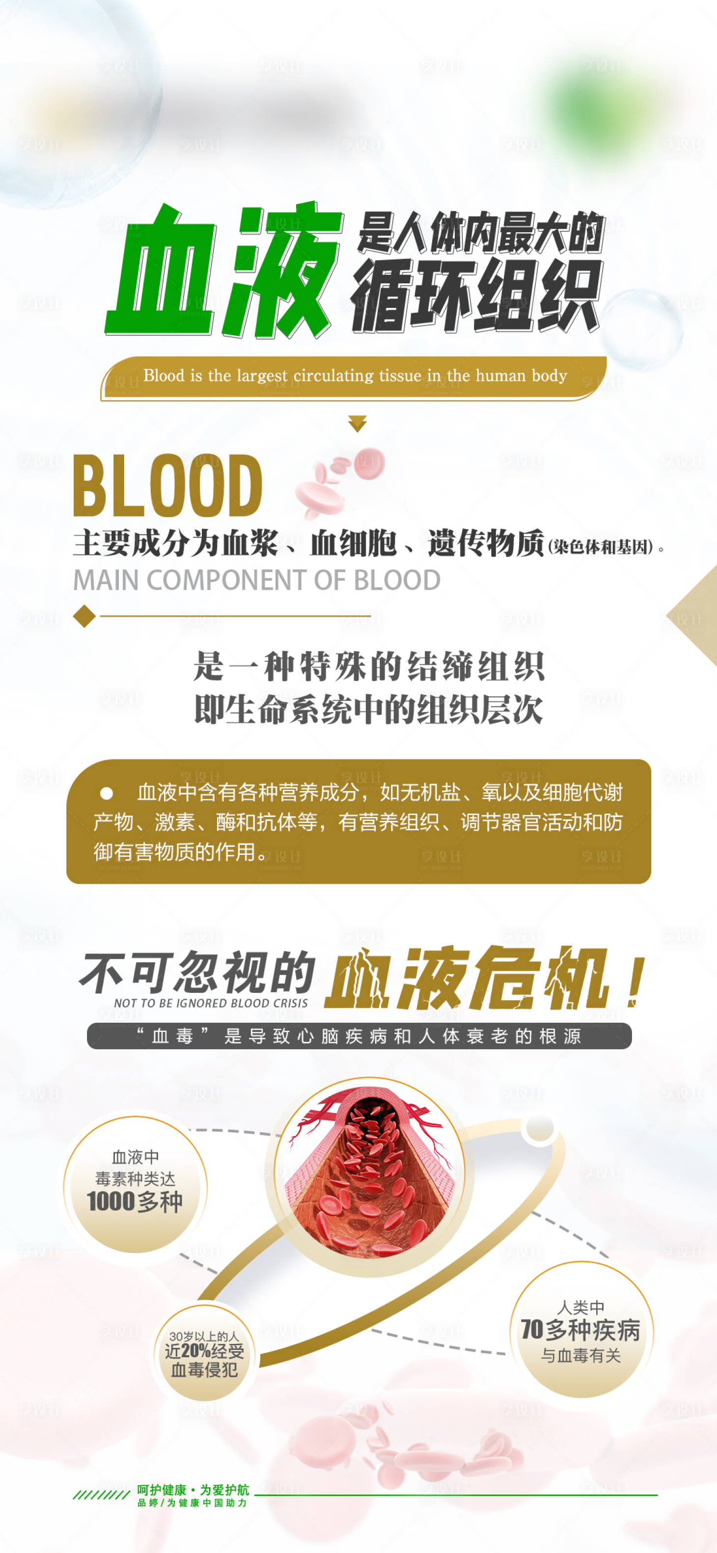 源文件下载【享设计】搜索编号：79170025710708920【血液血管大健康科普 】