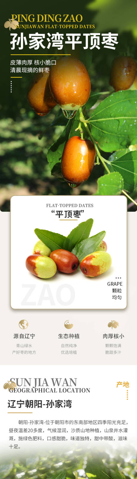 源文件下载【平顶枣脆枣枣子促销电商详情页】编号：16480026517038118