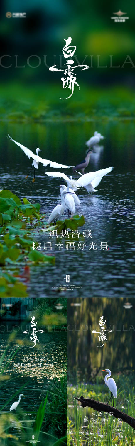 源文件下载【白露地产系列】编号：57680026056834809