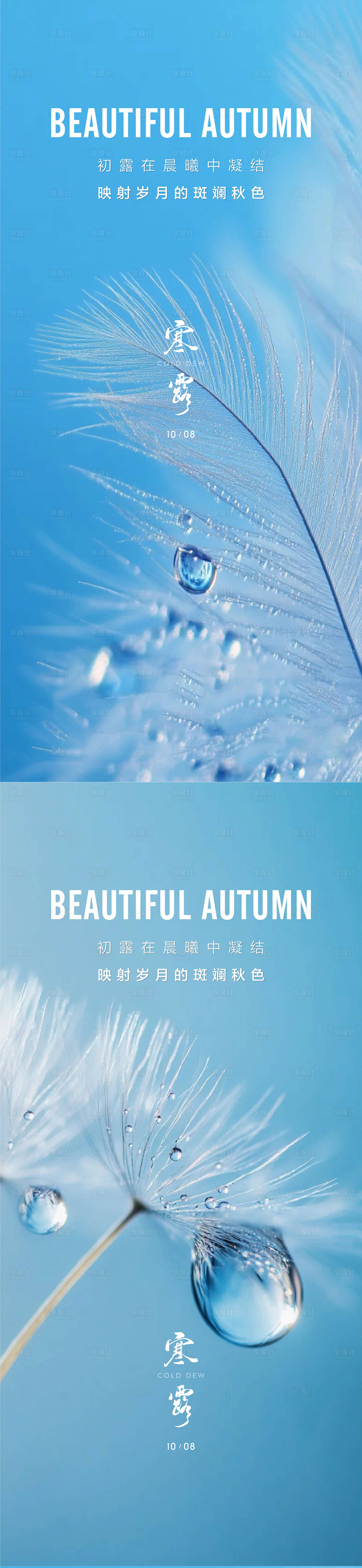 源文件下載【享設計】搜索編號：75300026412457952【寒露節氣海報】