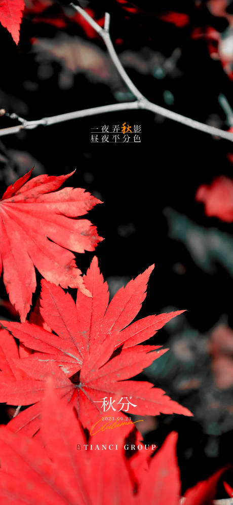 源文件下載【秋分】編號：31750026378398550