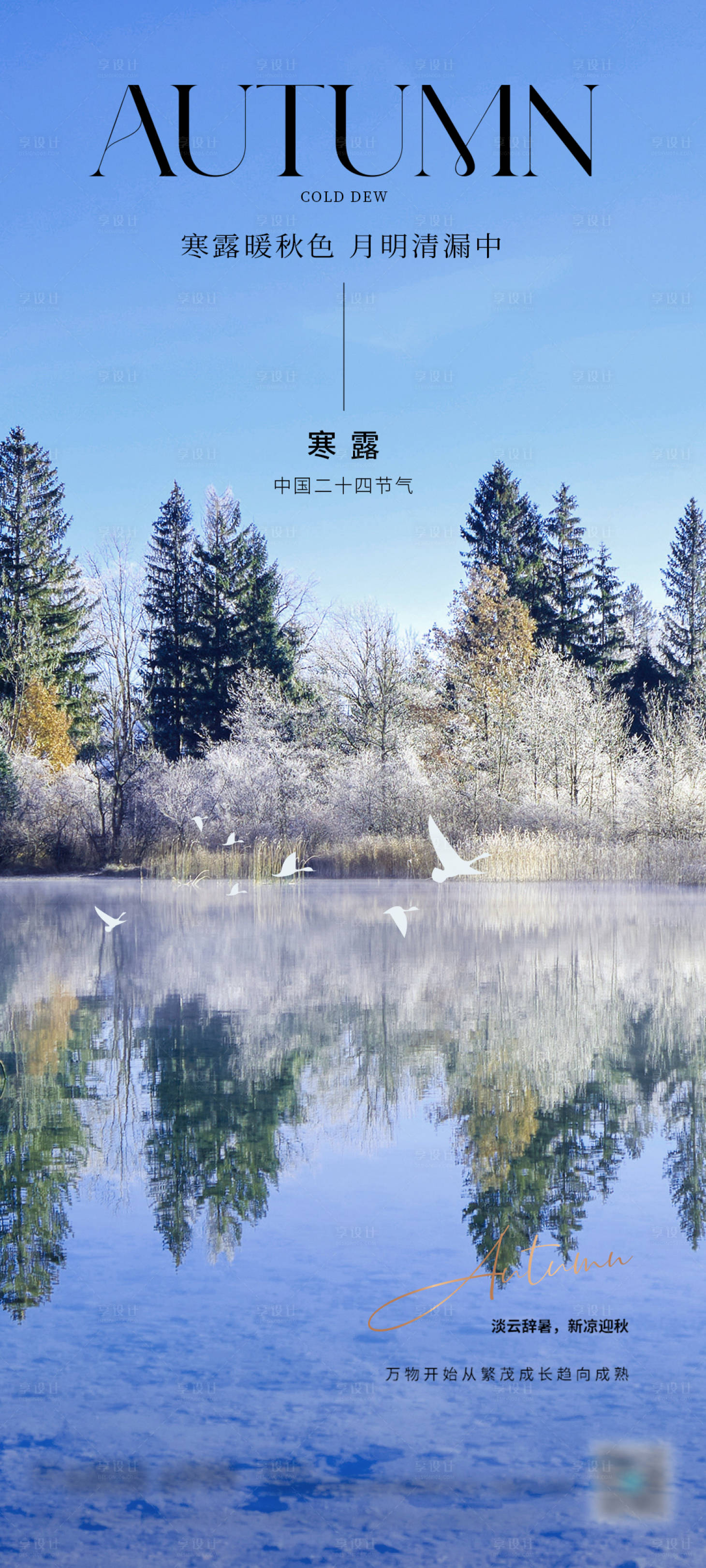源文件下載【享設計】搜索編號：83910026427041607【寒露節氣海報】