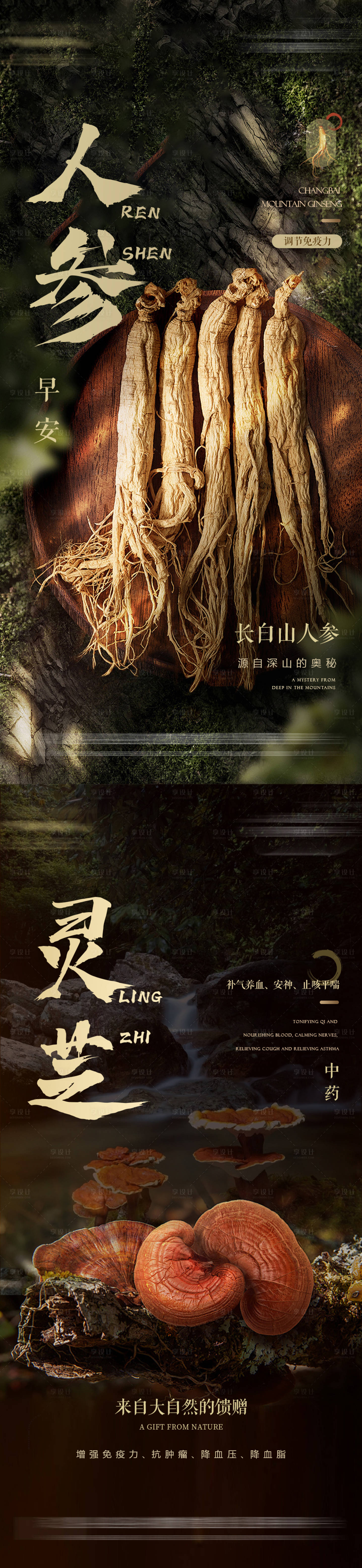 源文件下载【人参灵芝养生海报】编号：94630026112542647