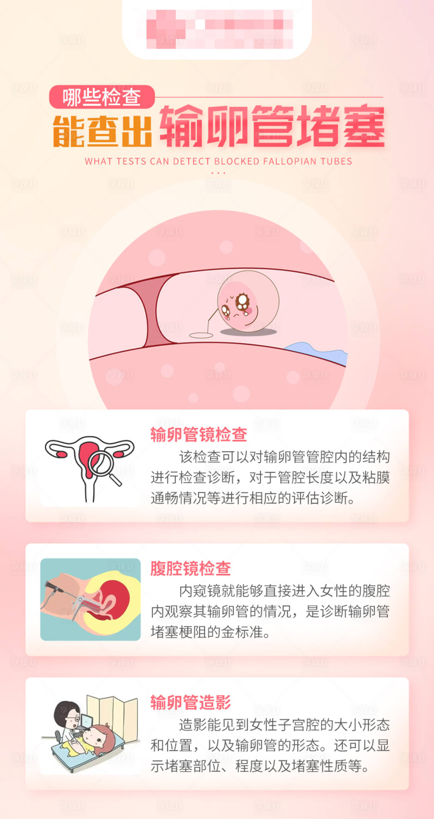 源文件下载【享设计】搜索编号：13580026132122869【检查科普】