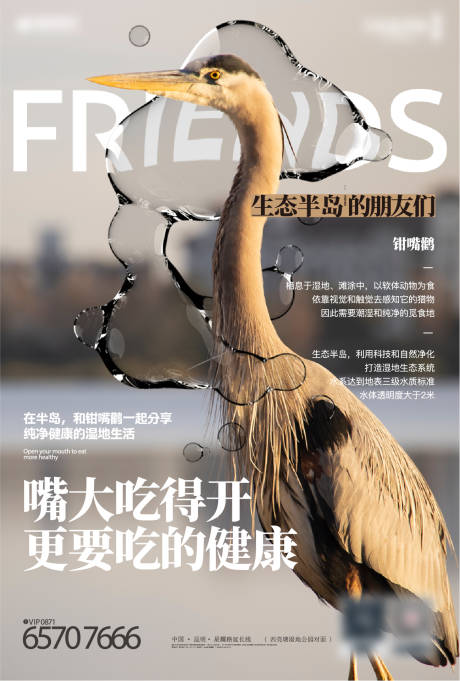 生物科普海报