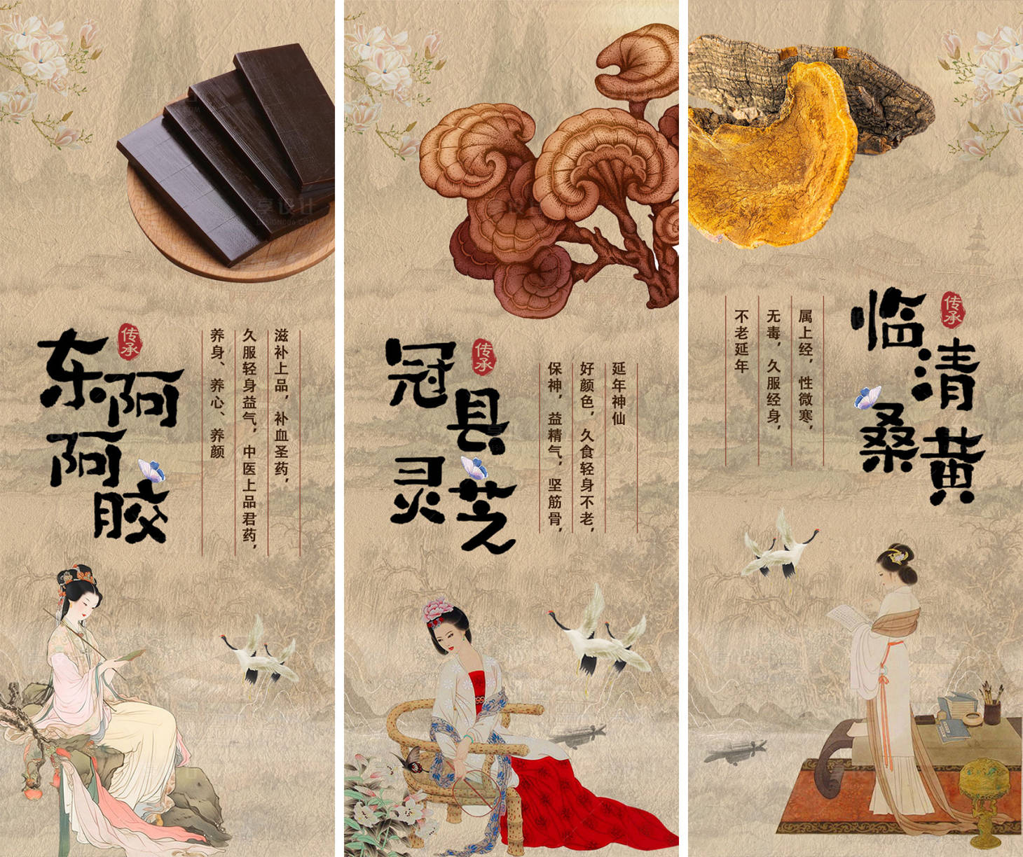 源文件下载【特色中药介绍海报】编号：81980026302328390