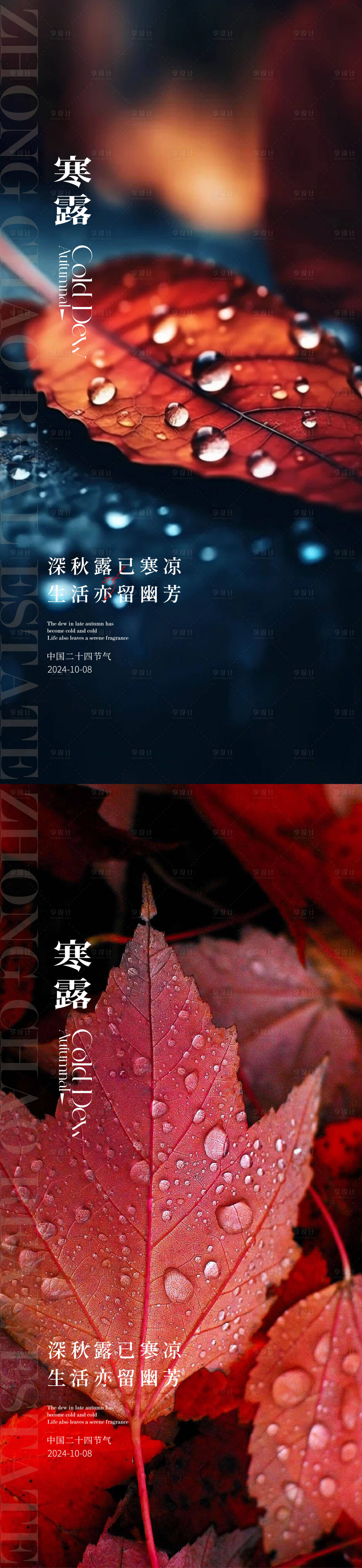 源文件下载【寒露白露雨水霜降小寒大寒】编号：49960026413455004