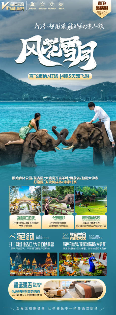源文件下载【版纳旅游海报】编号：47130026038684965