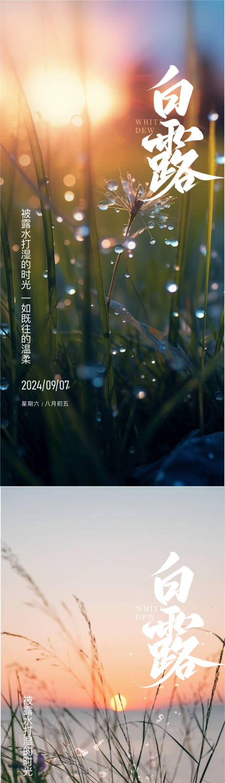 源文件下載【享設計】搜索編號：42400026112459103【白露節氣海報】