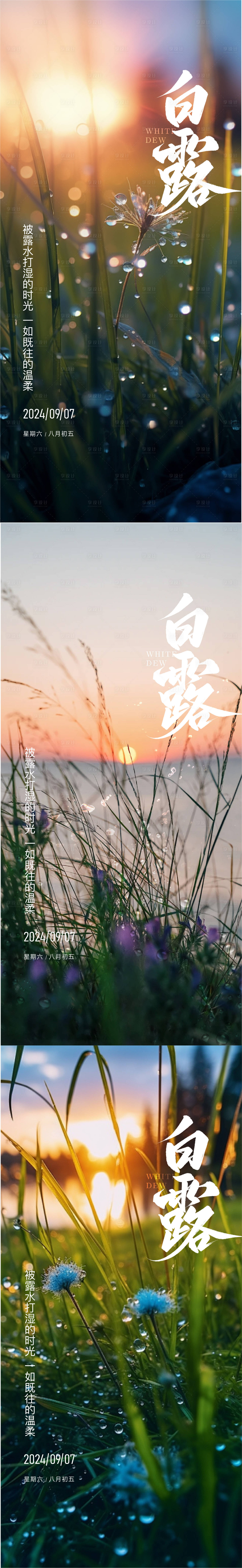 源文件下载【享设计】搜索编号：42400026112459103【白露节气海报】